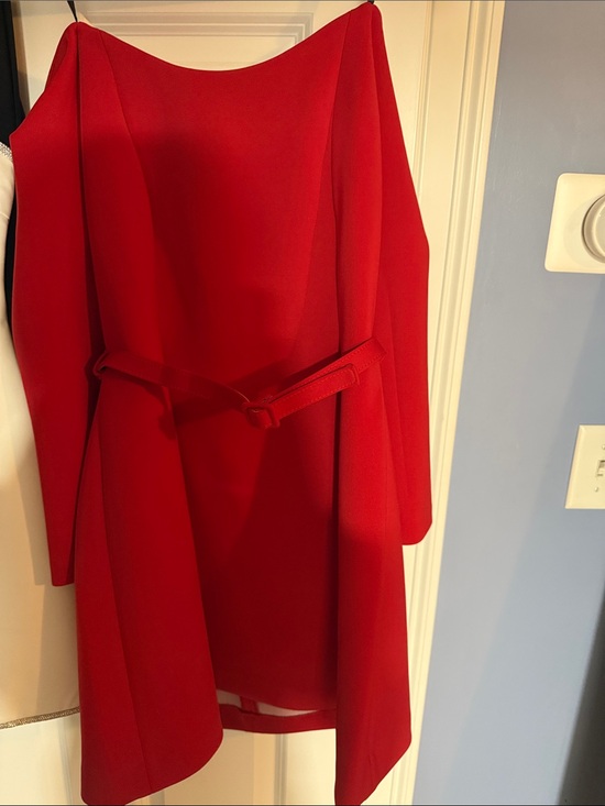 BCBGMaxAzria Dresses & Skirts - BCBGMaxAzria Red Long-Sleeve Belted Dress